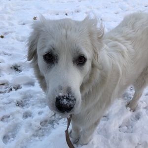 Meet your Posher, Cortny